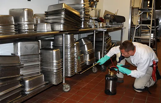 Sanificare post deblattizzazione Abano Terme