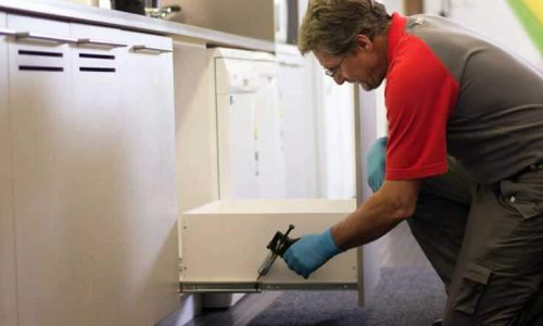 eliminare ooteche blatte