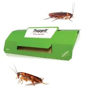 Trappola colla blatte