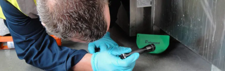 disinfestazione blatte per aziende