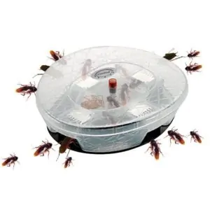 trappola blatte per pavimento