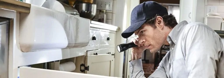 Disinfestazione blatte in cucina Abano Terme