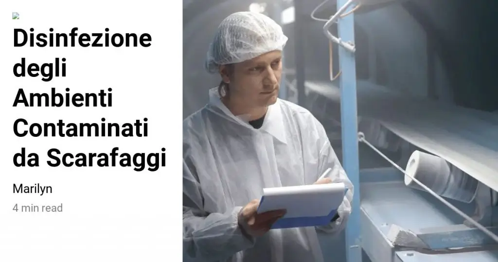 scarafaggio-it-disinfezione-degli-ambienti-contaminati-da-scarafaggi-open-graph-1024x538