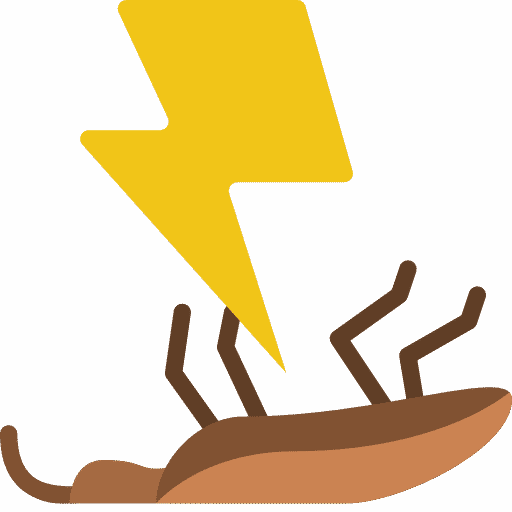 disinfestazione scarafaggi veloce Premosello Chiovenda
