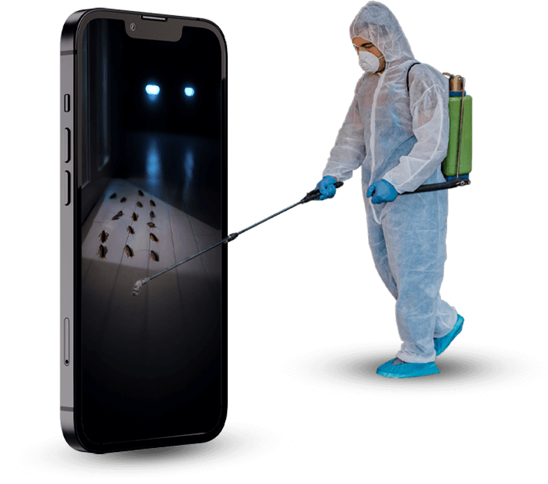 Disinfestazione blatte Abano Terme