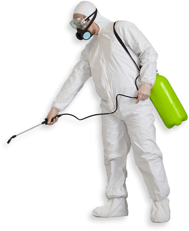 Disinfestazione blatte Abano Terme