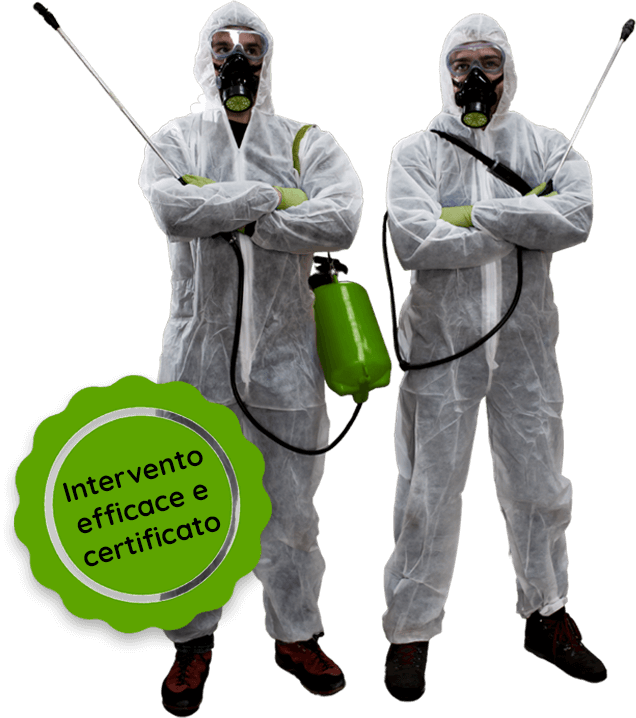 disinfestazione blatte certificata Abano Terme