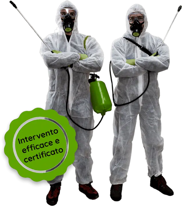 disinfestazione scarafaggi certificata Napoli