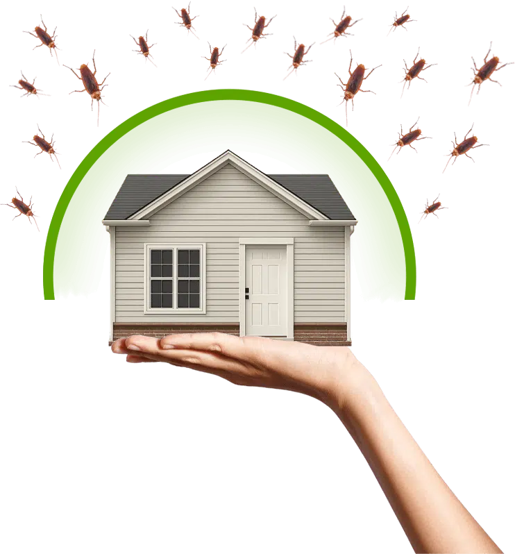 casa con protezione