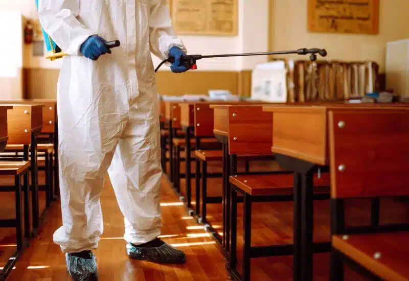 disinfestazione scuole
